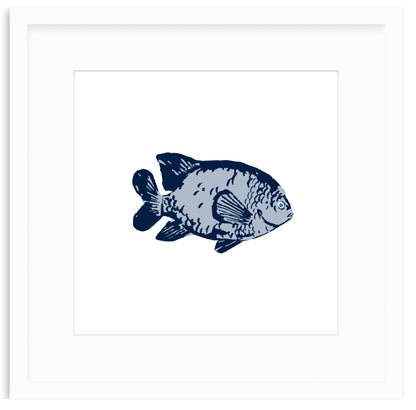 Garibaldi Framed Art Print